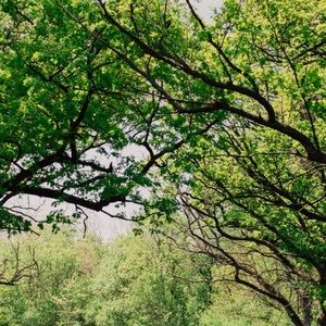 Meet your Posher, Alaina